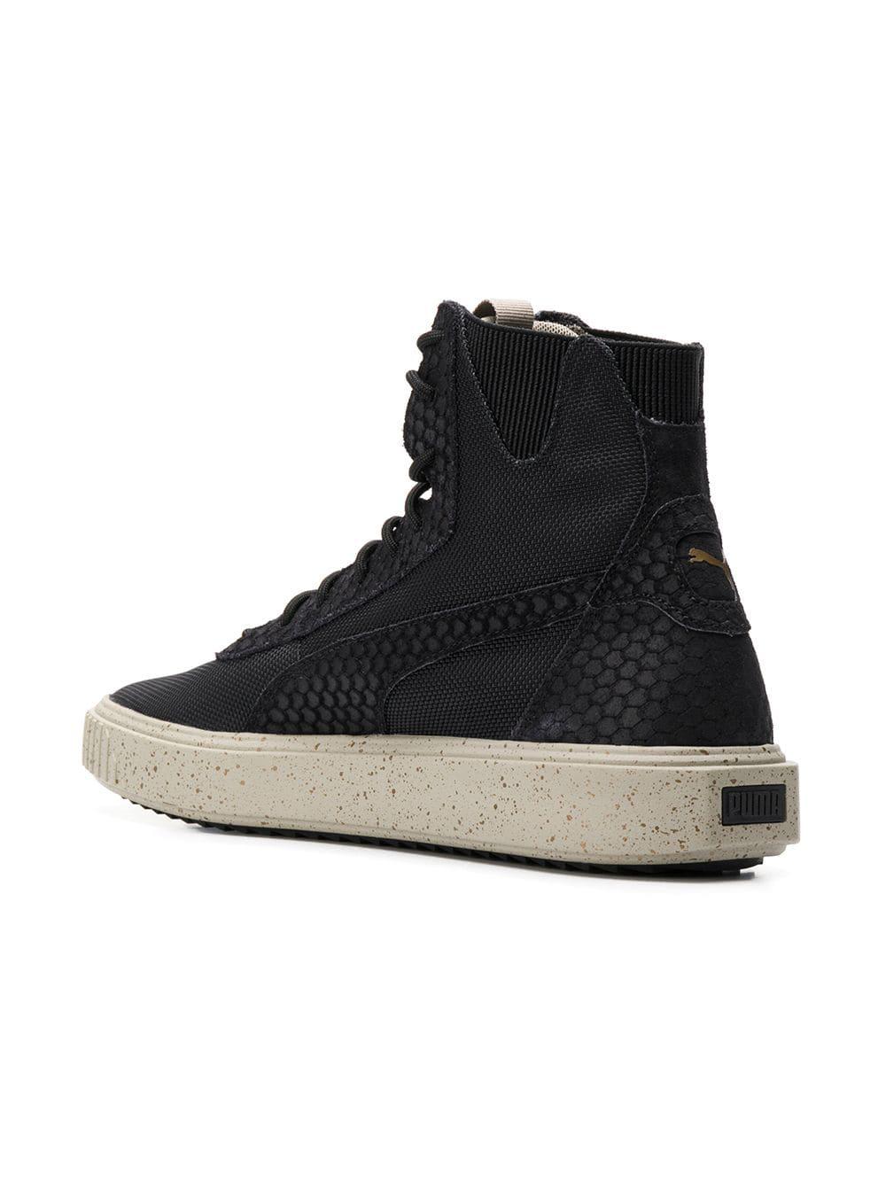 breaker blocked puma