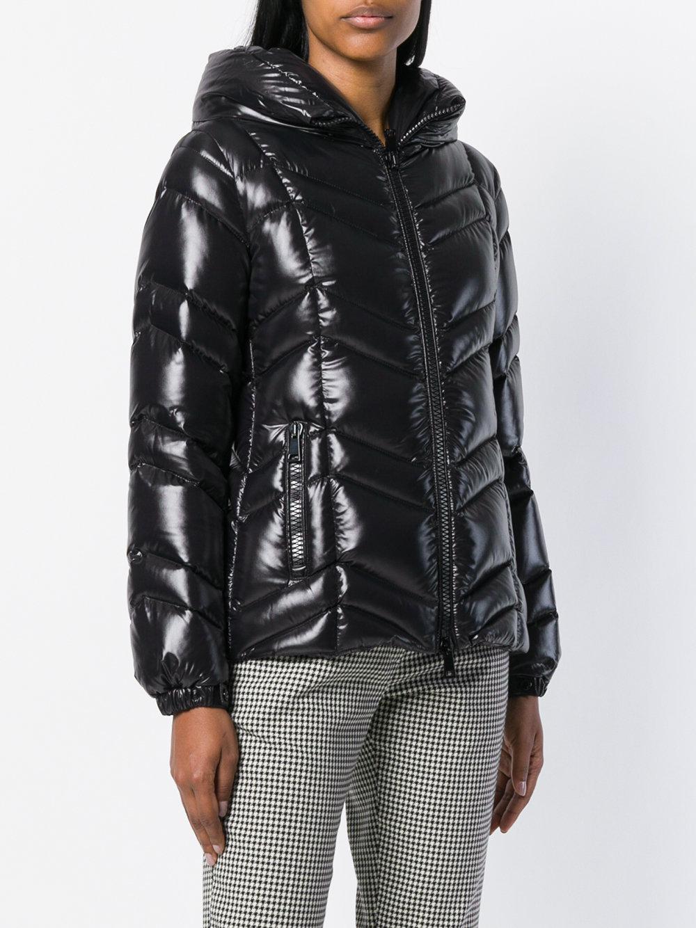 fuligule moncler