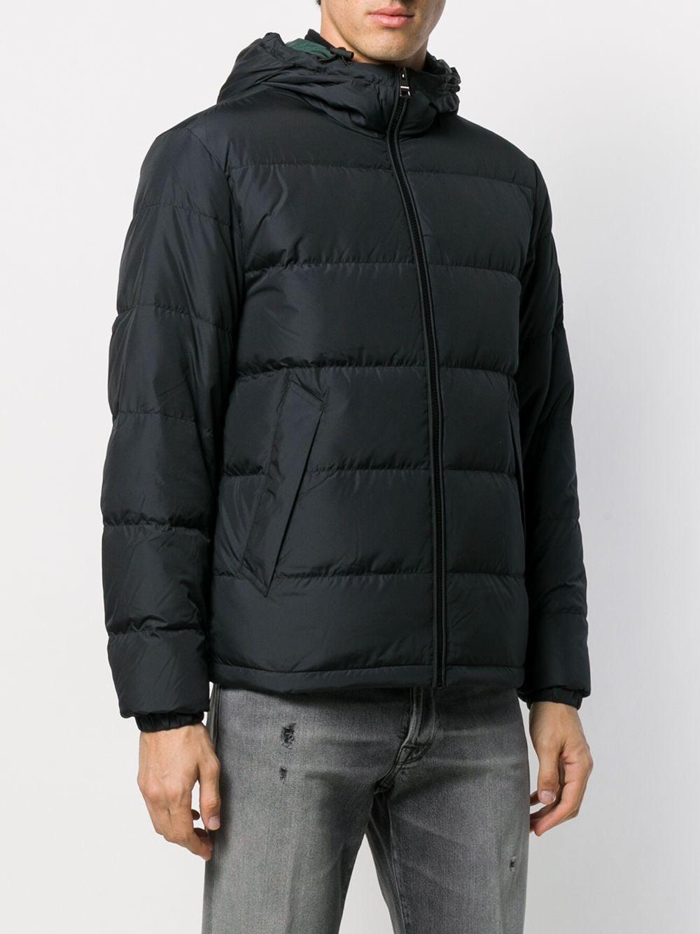 tommy hilfiger hooded padded jacket