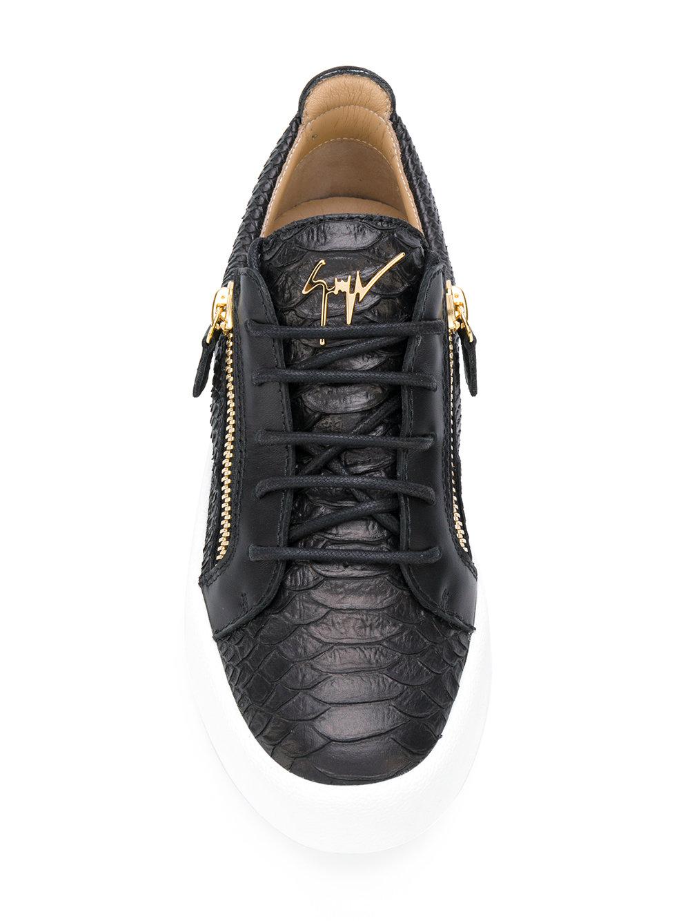 giuseppe zanotti low top