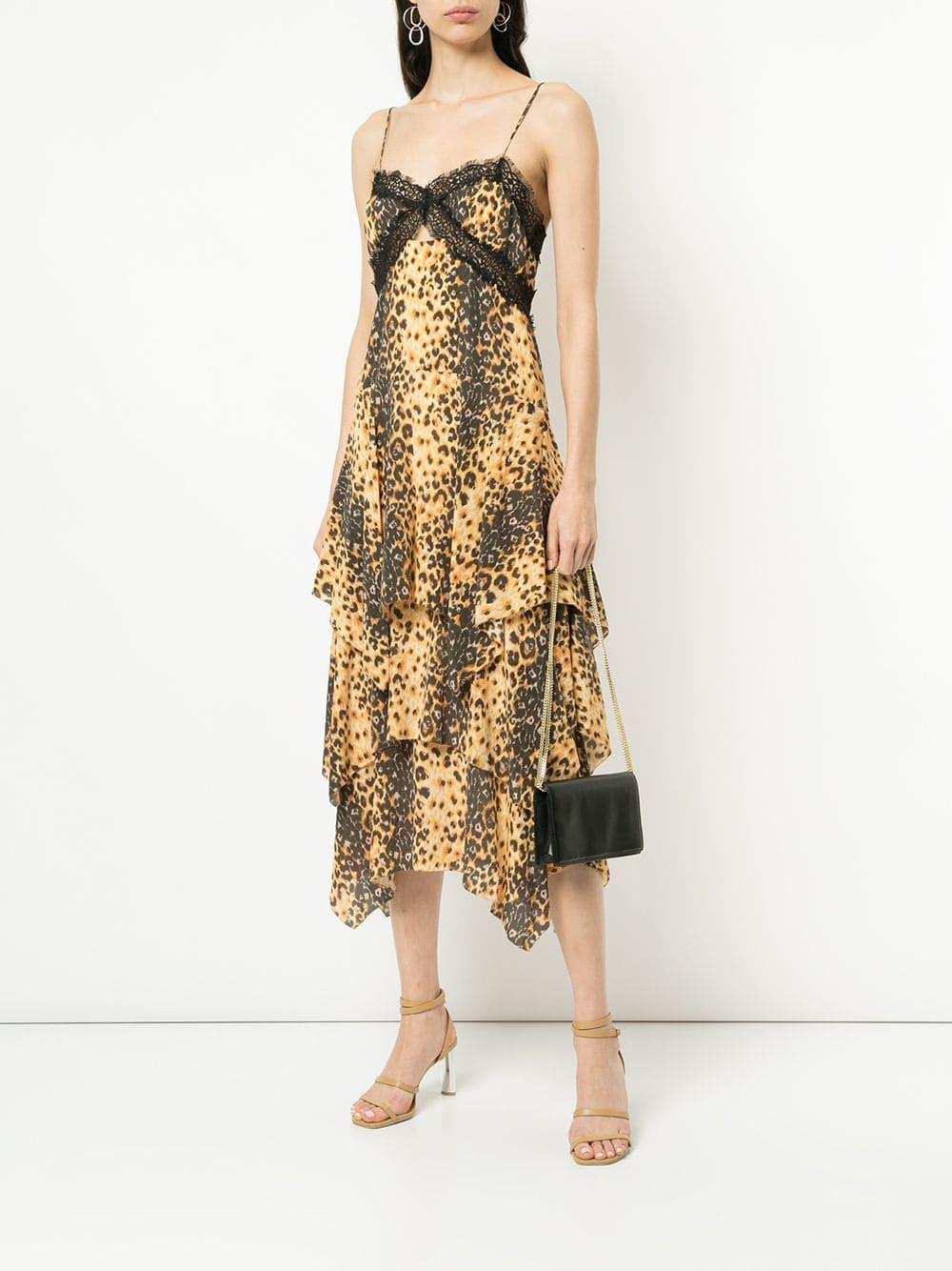 manning cartell leopard dress