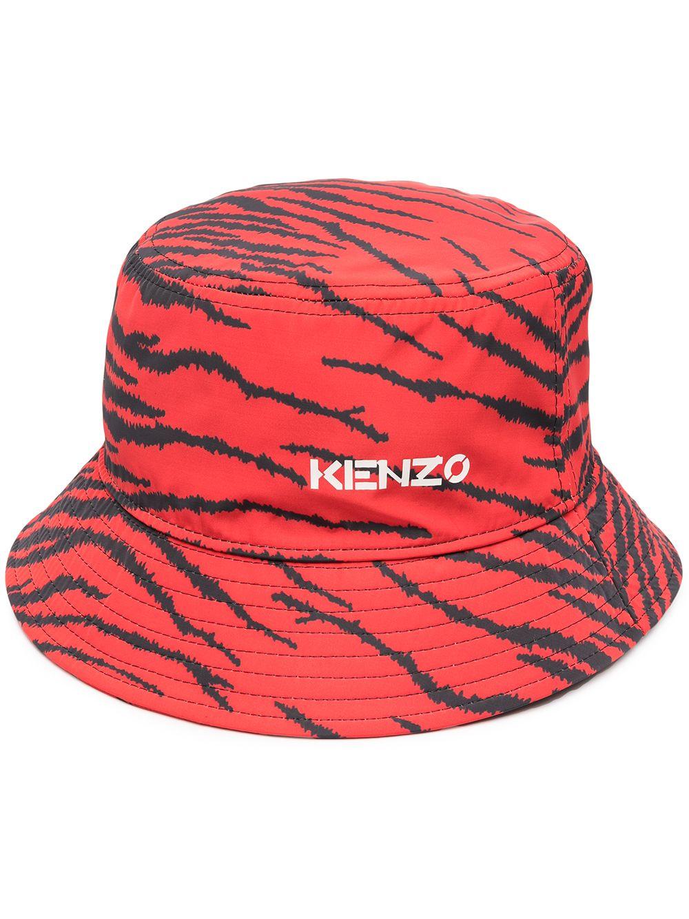 kenzo zebra