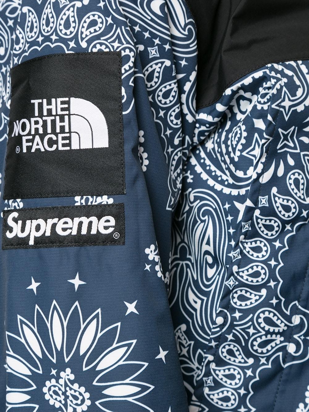 Supreme x The North Face Metallic Logo Hooded Sweatshirt - Farfetch