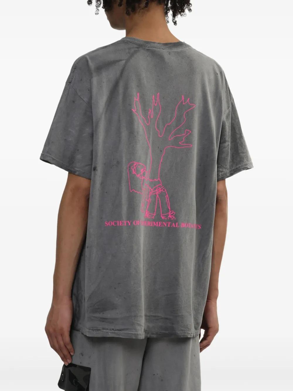 westfall-grey-Socotra-Island-T