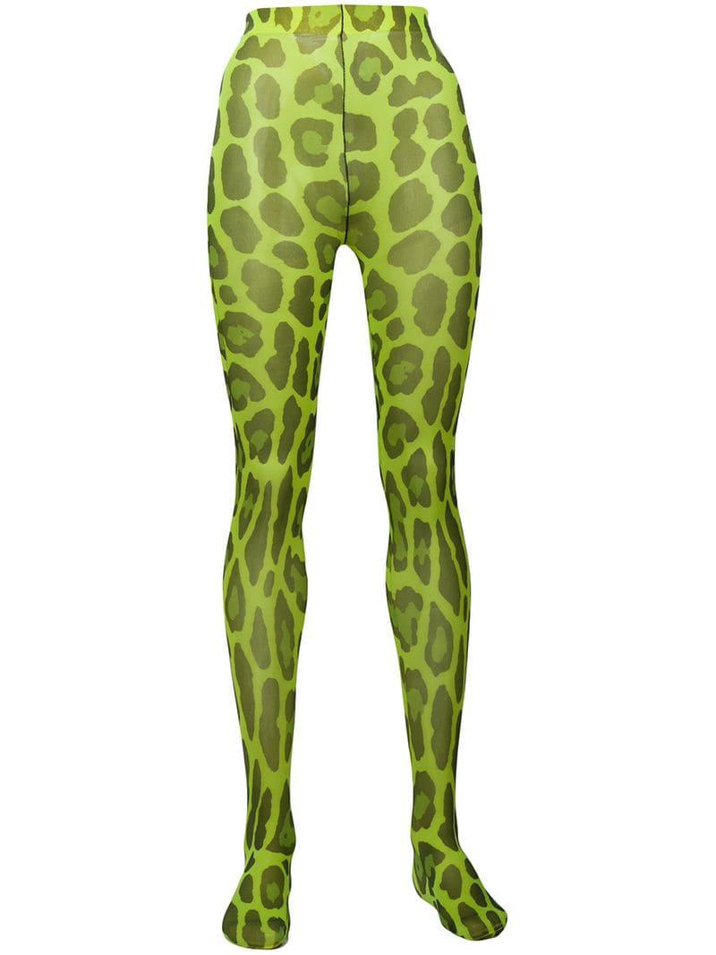 Tom Ford Leopard-print Tights in Green