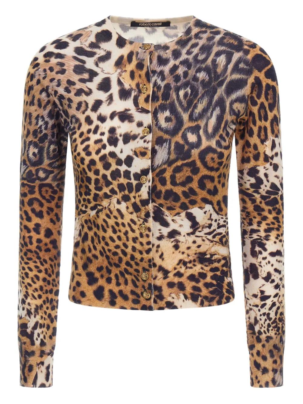 Roberto Cavalli Knitwear for Women | Online Sale up to 70 Roberto Cavalli Knitwear for Women | Online Sale up to 70