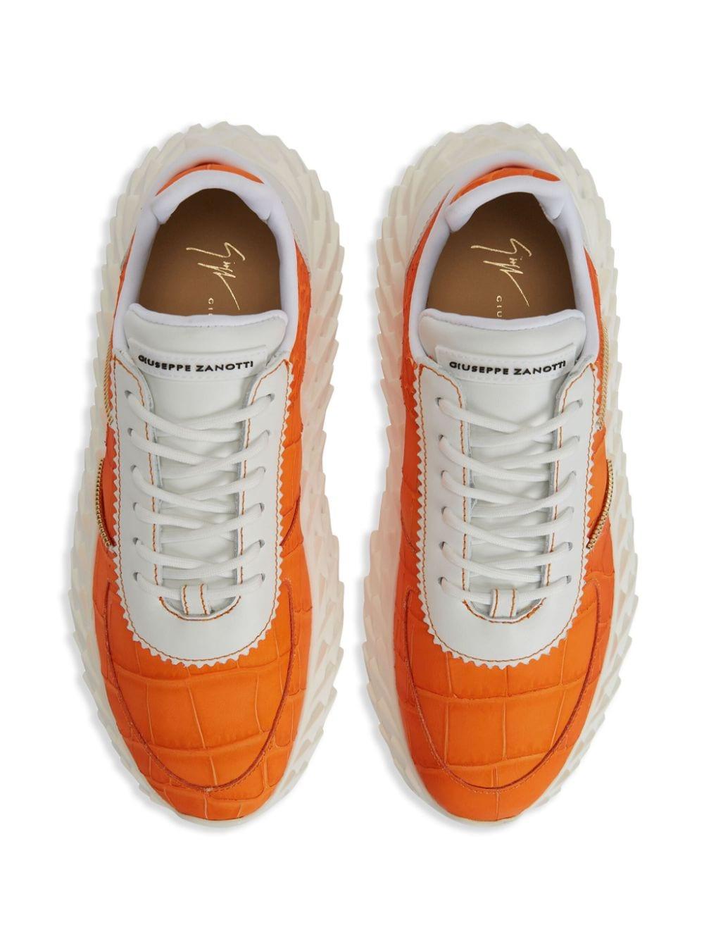 Orange giuseppe 2025 zanotti sneakers