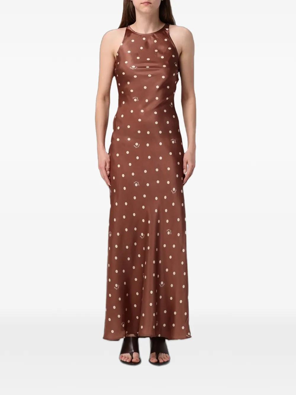 brown polka dot dress tj maxx Brown Polka Dot Tj Maxx Dress