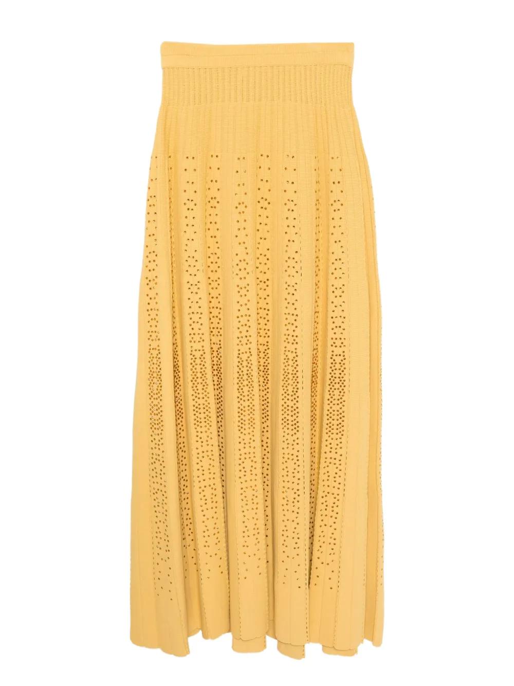 スカート Elie Saab Cut-out knit skirt Elie Saab Cut-out knit skirt Bordeaux - Women | VIETTI