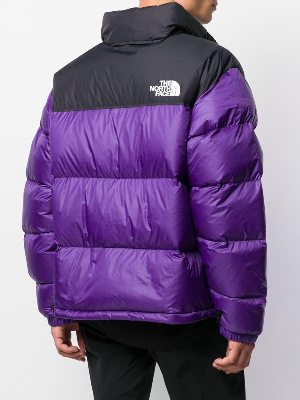 north face purple vest