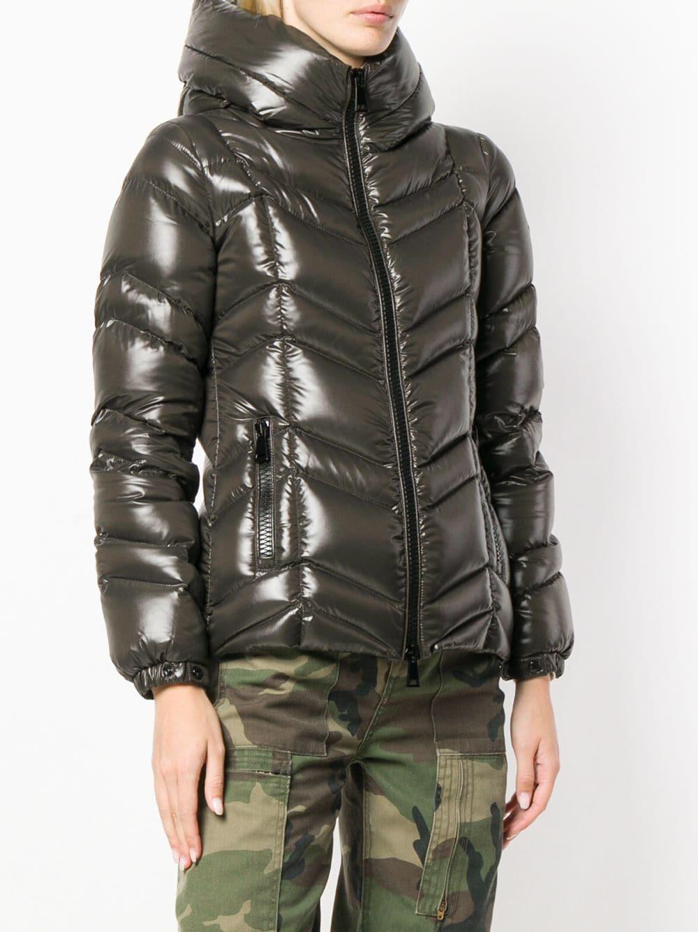 fuligule moncler