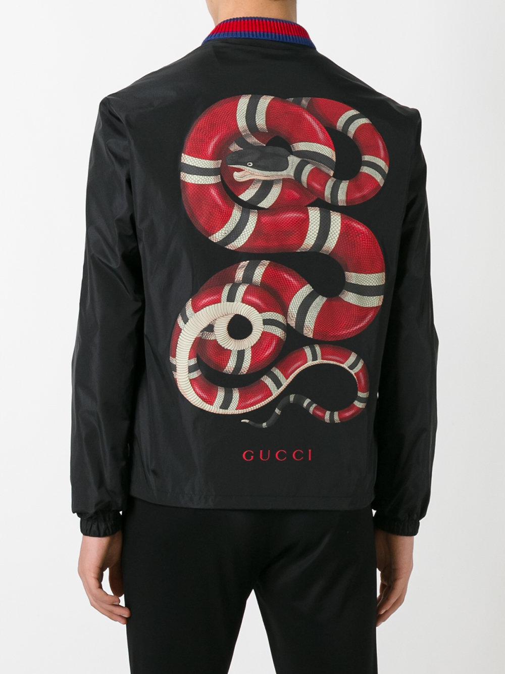 gucci ace watersnake