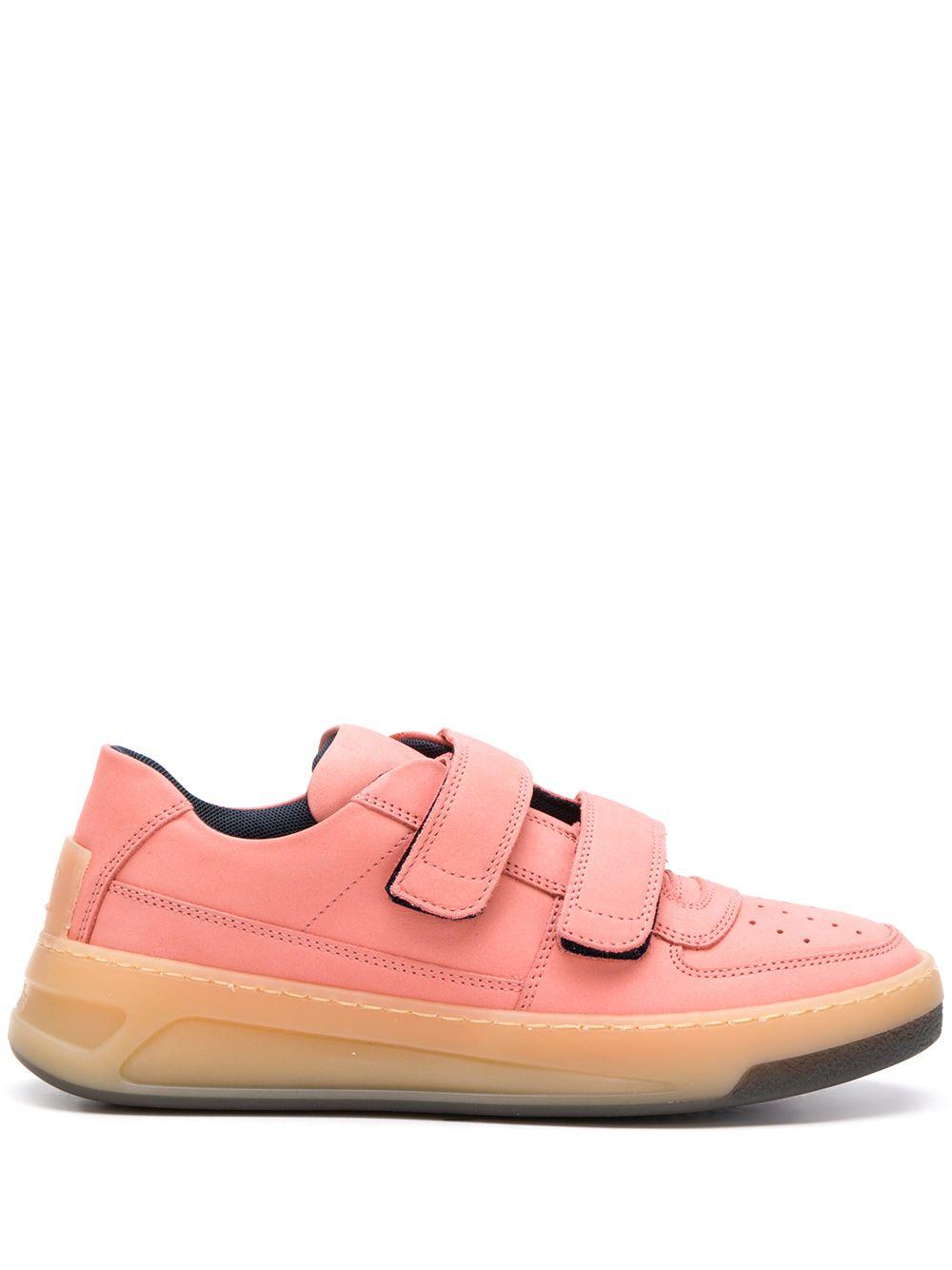 acne steffey