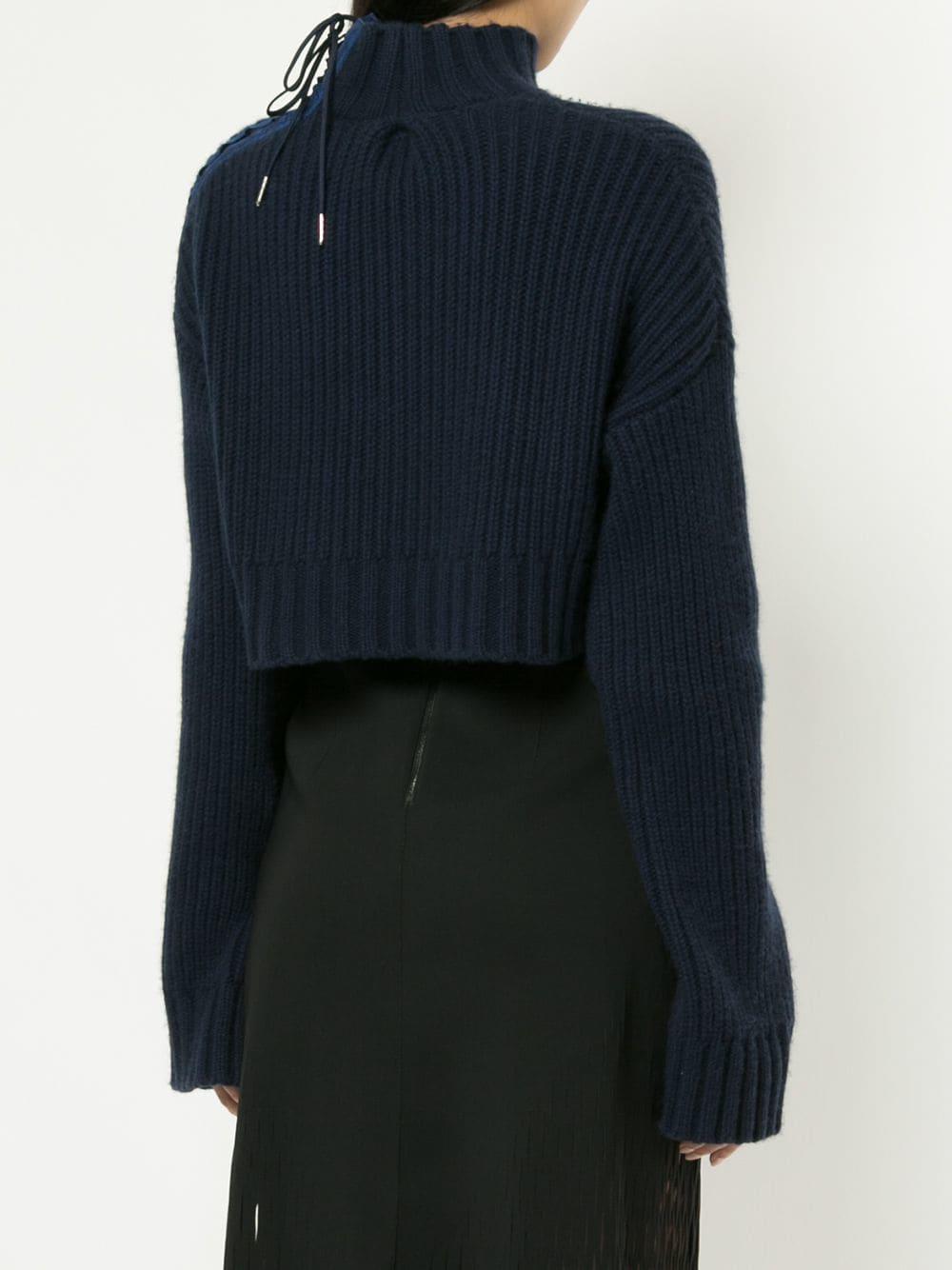 cropped blue jumper