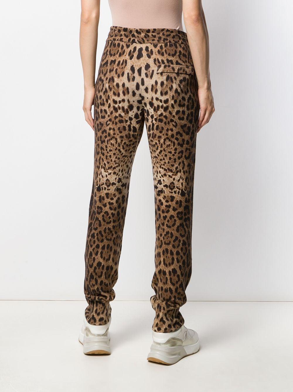 Dolce & Gabbana Kaschmir Jogginghose mit Leoparden-Print in Braun - Lyst