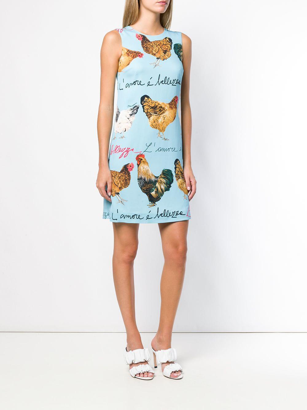 Dolce & Gabbana Chicken Print Dress in Blue | Lyst