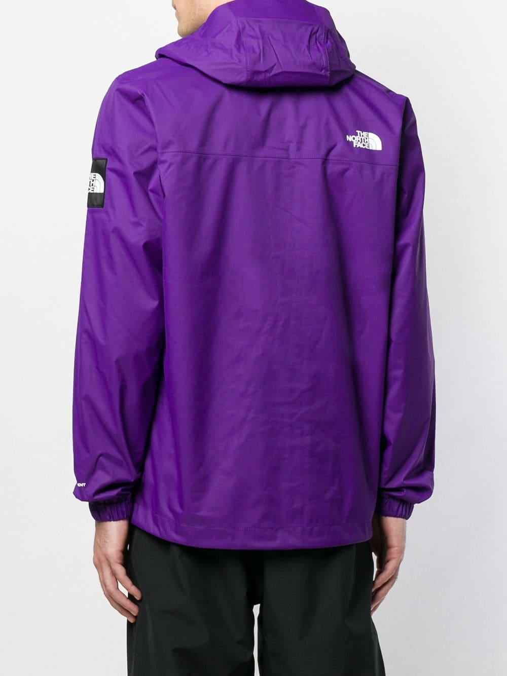 north face mountain q jacket purple