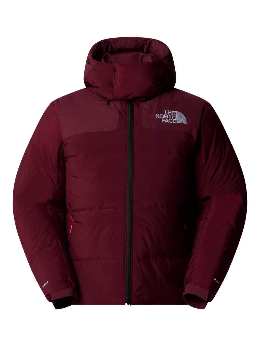 Herren-Jacken von The North Face in Rot Lyst DE