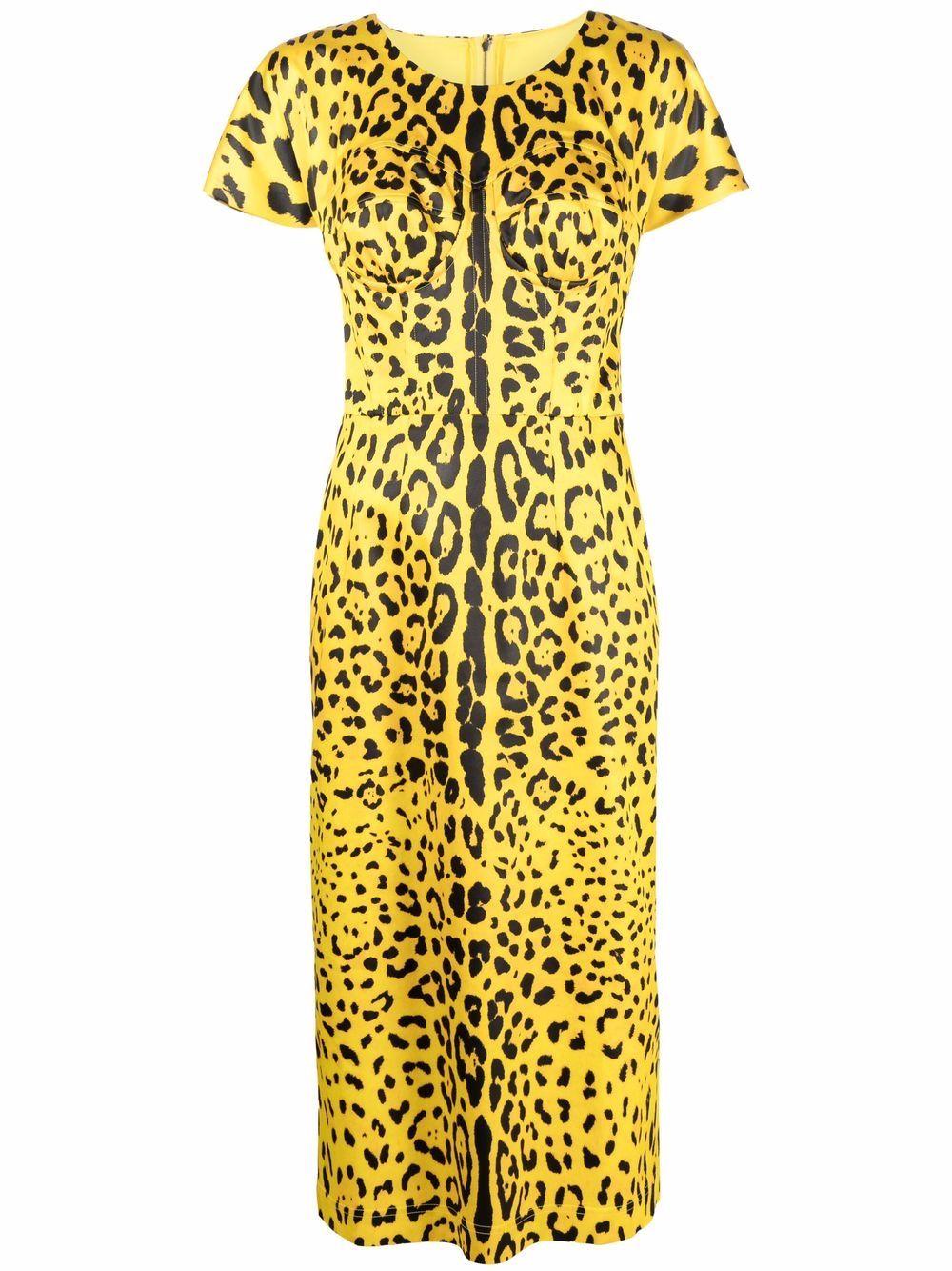 Dolce & Gabbana Leopard-print Short-sleeve Pencil Dress in Yellow | Lyst