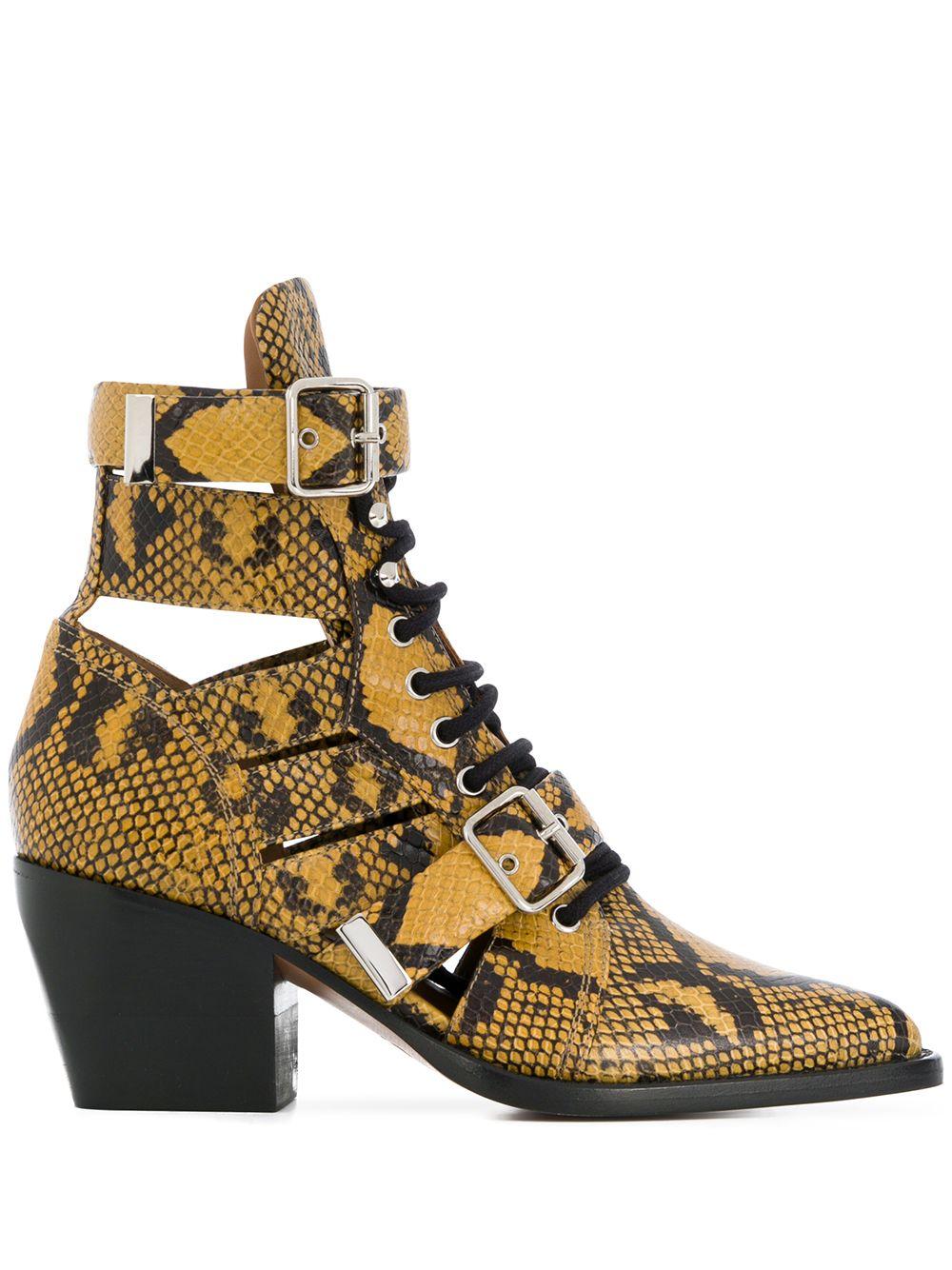 chloe rylee python