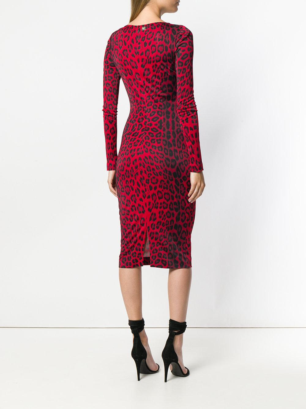 cavalli class dress