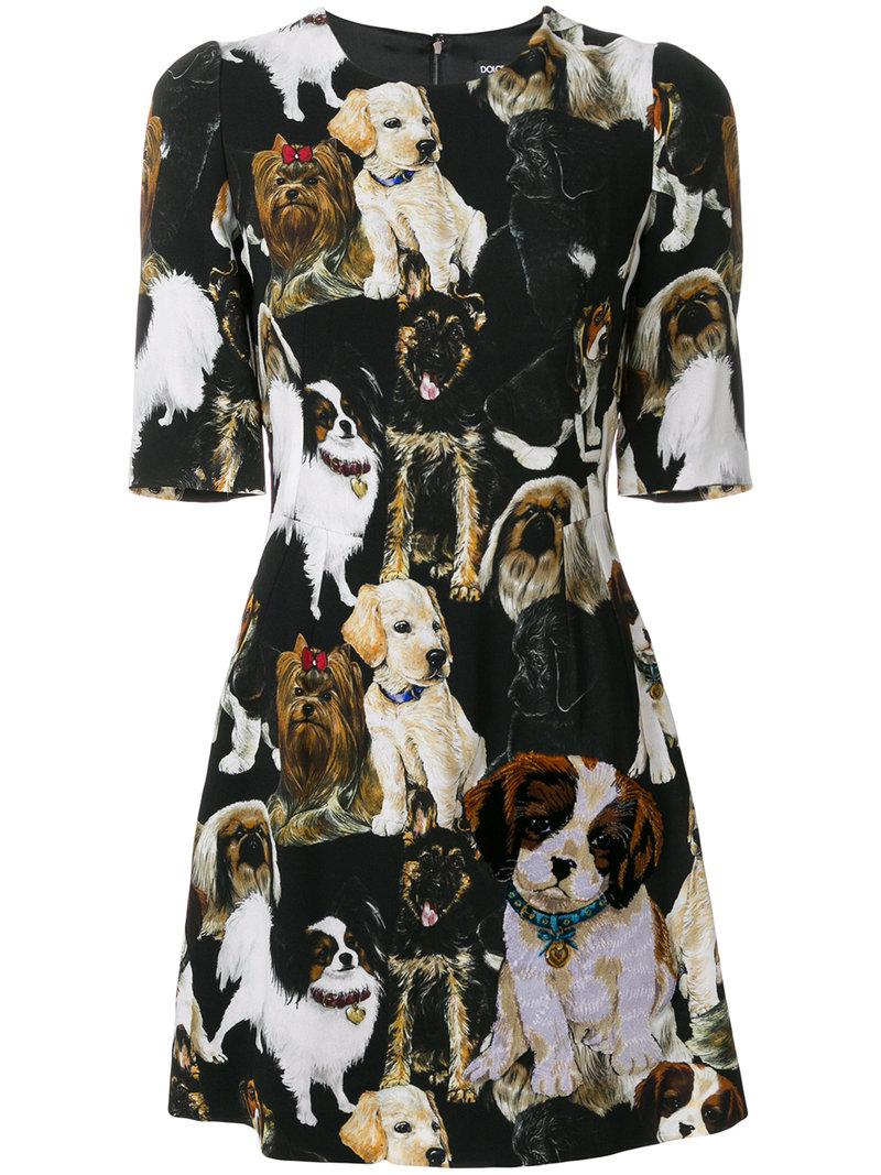 dolce and gabbana dog print dress