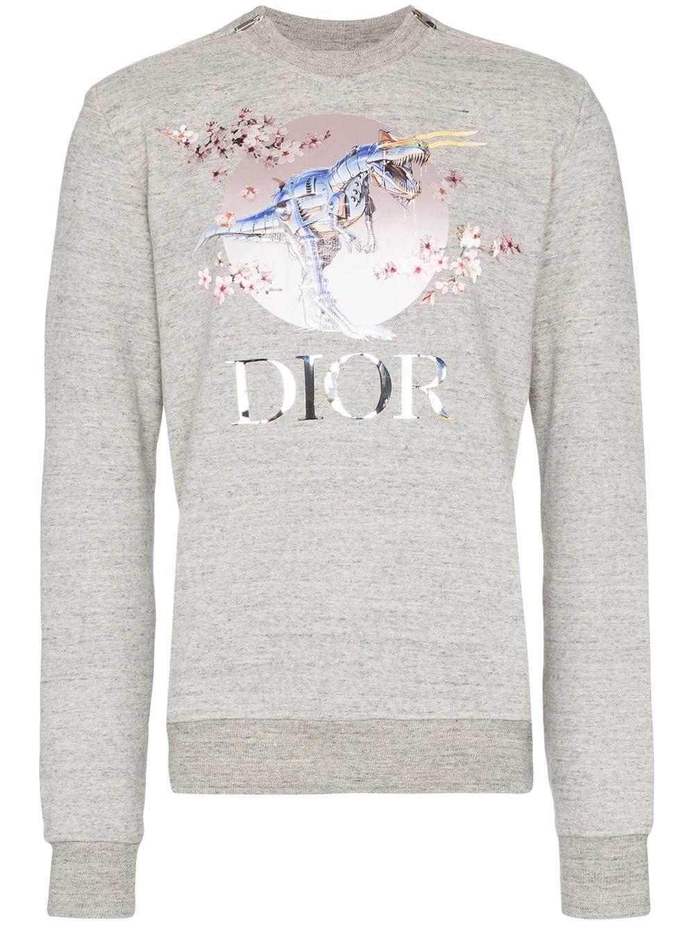 Dior dinosaur sweatshirt hotsell