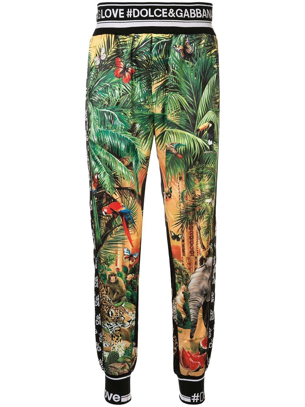 Dolce & Gabbana Jogginghose mit "Tropical DG King"-Print in Grün für Herren  | Lyst AT