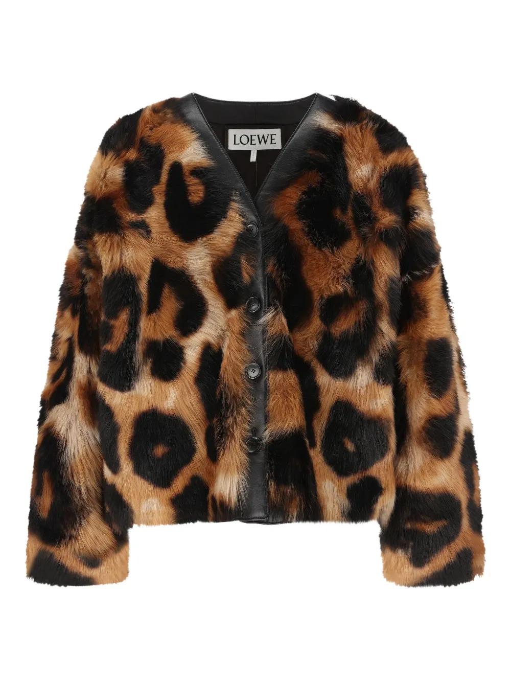 Loewe Leopard-Print Shearling Jacket in Black | Lyst