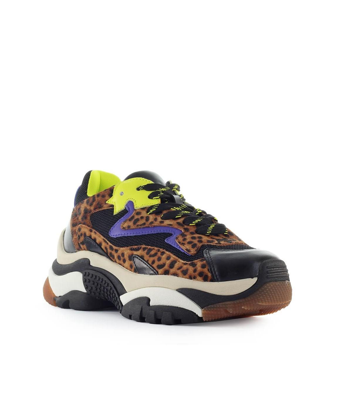 basket ash addict leopard