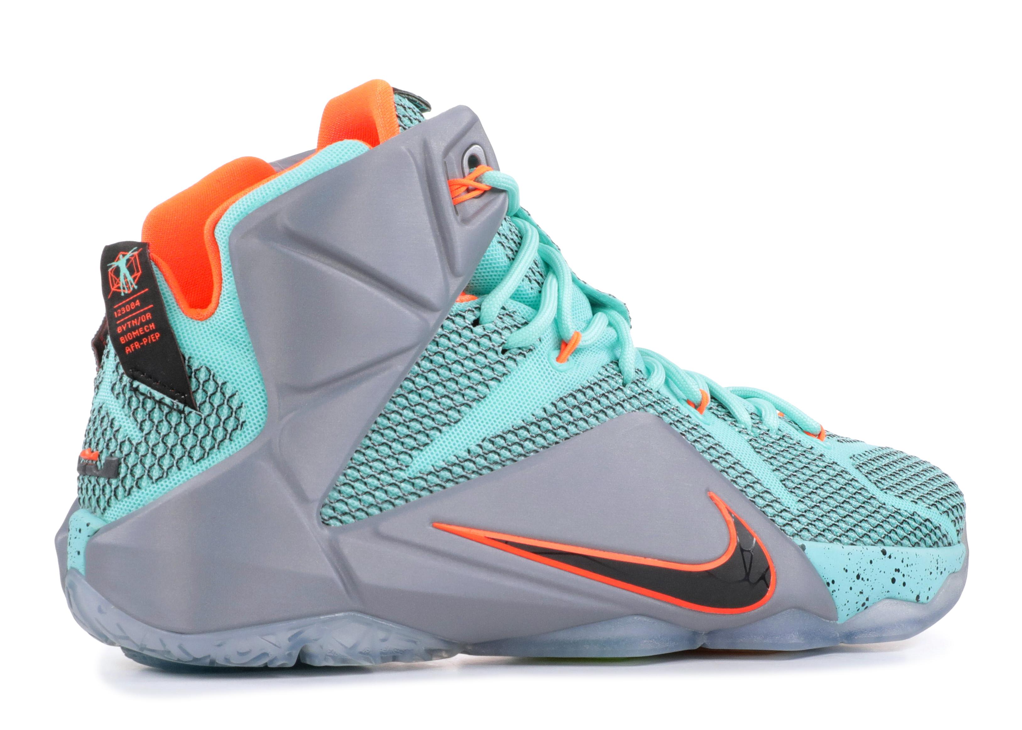 size 12 nike lebron shoes