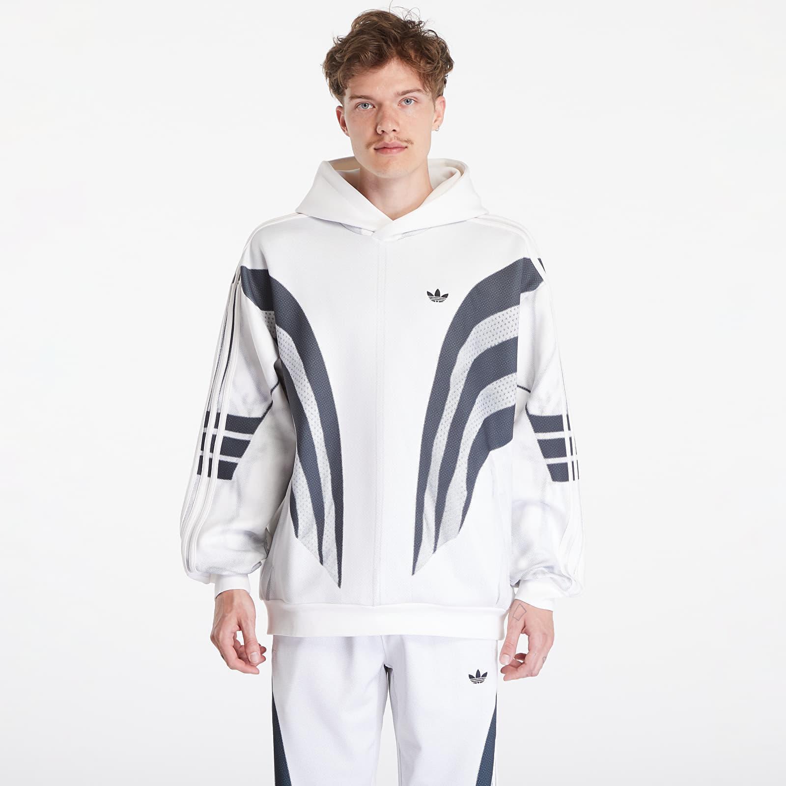 adidas Originals Sweatshirt Adidas Prm Q3 Print Hd Cloud in Blau fur Herren Lyst DE