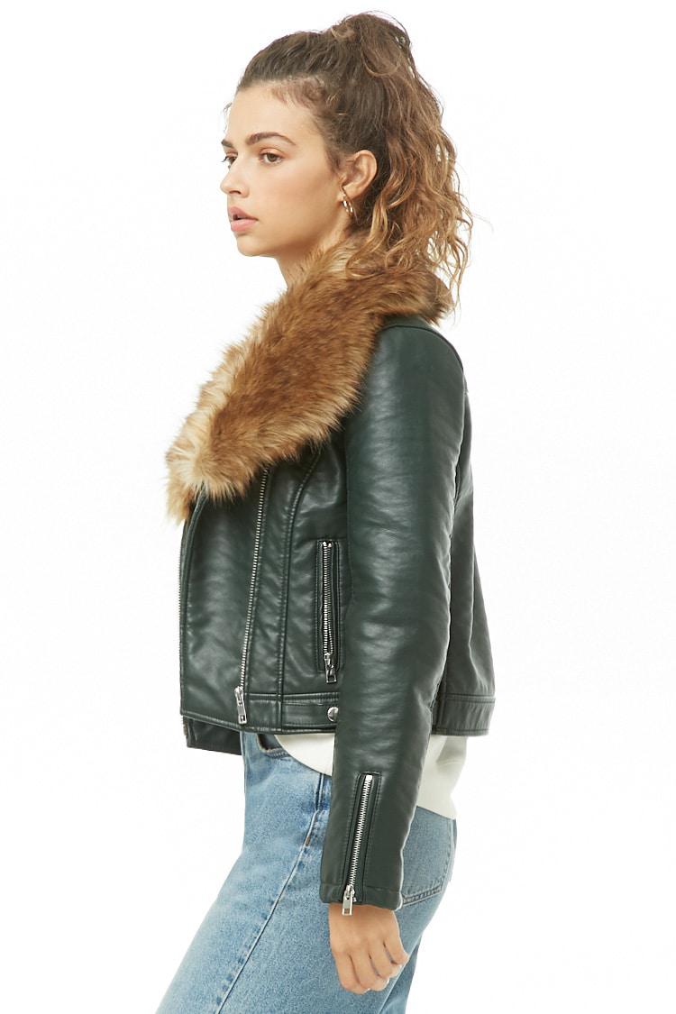 rainforest pocket winter