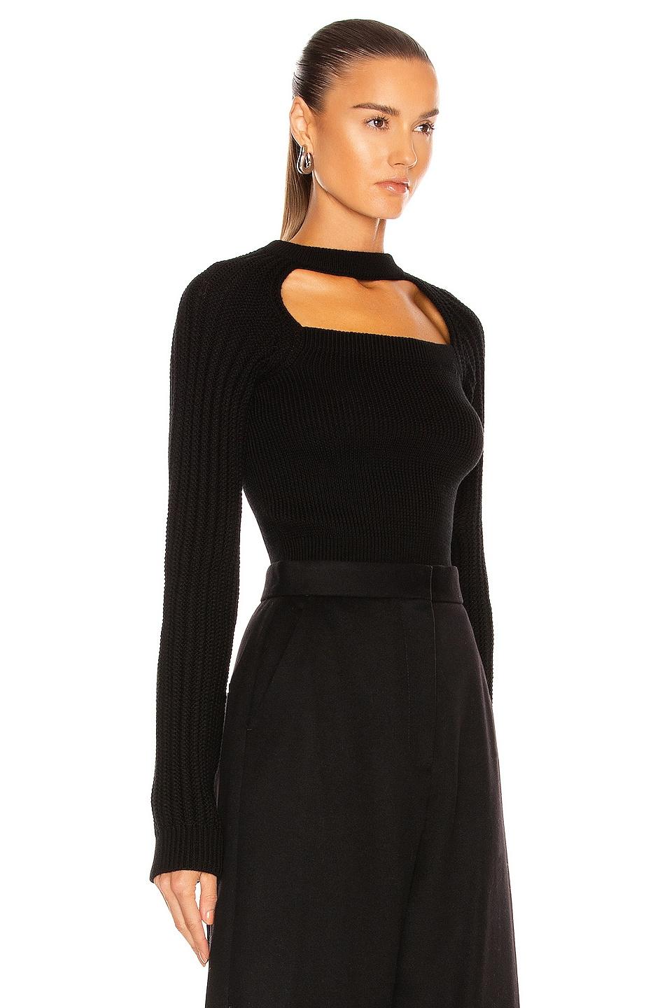 loewe cropped sweater