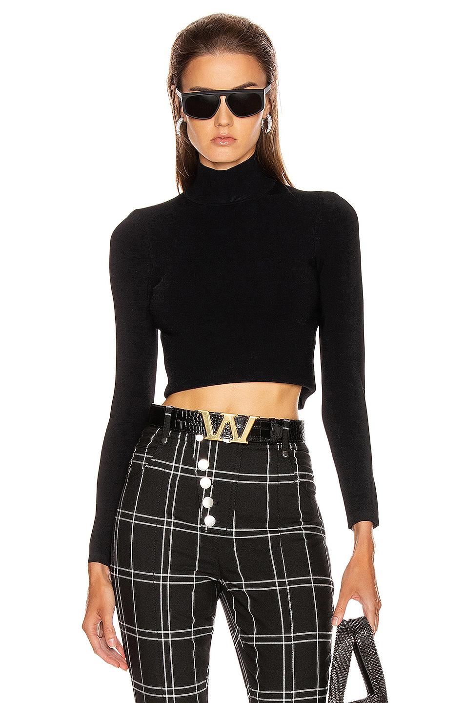 alexander wang cropped sweater