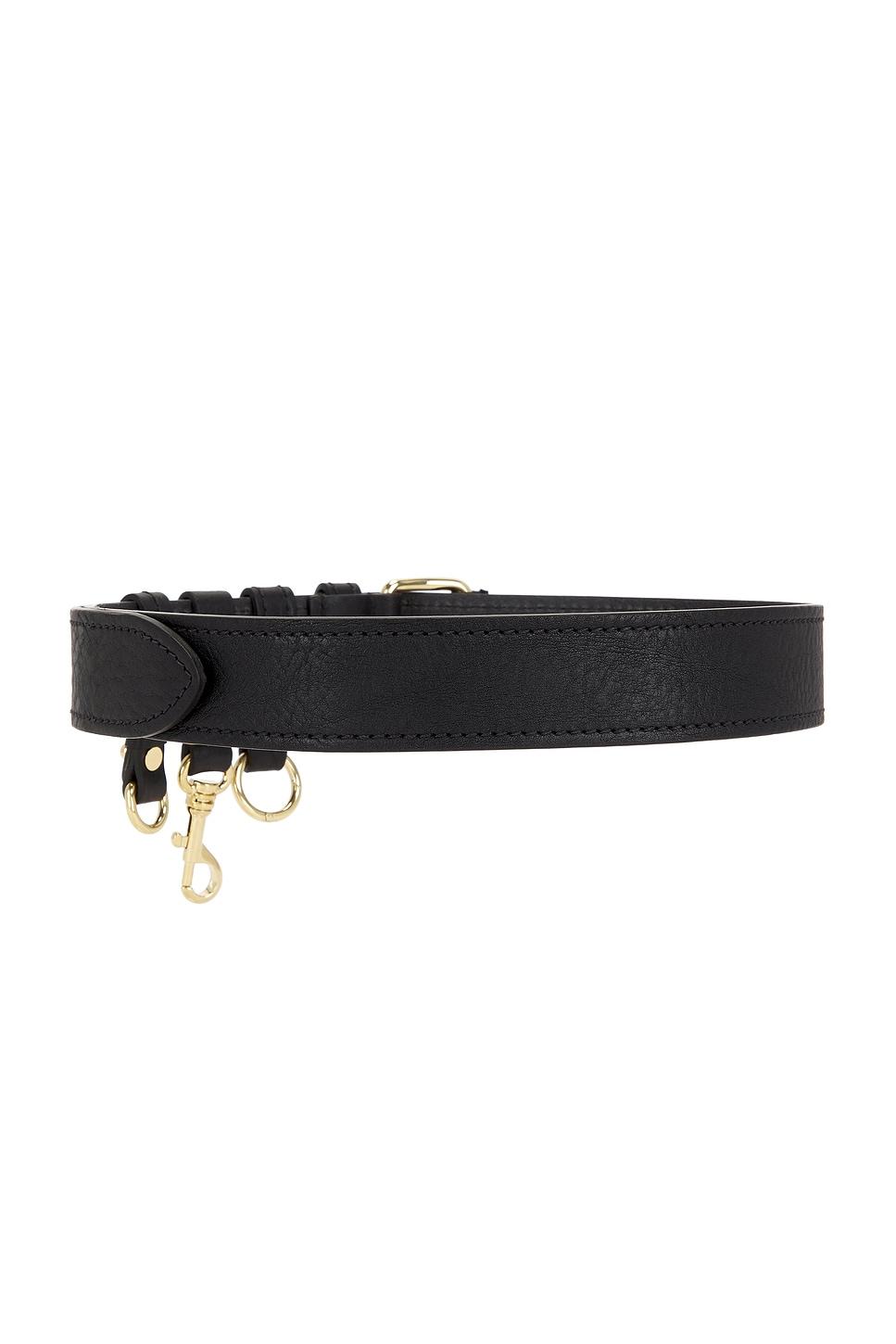 Miu Miu Belts for Women | Online Sale up to 63% off | Lyst display picture 1