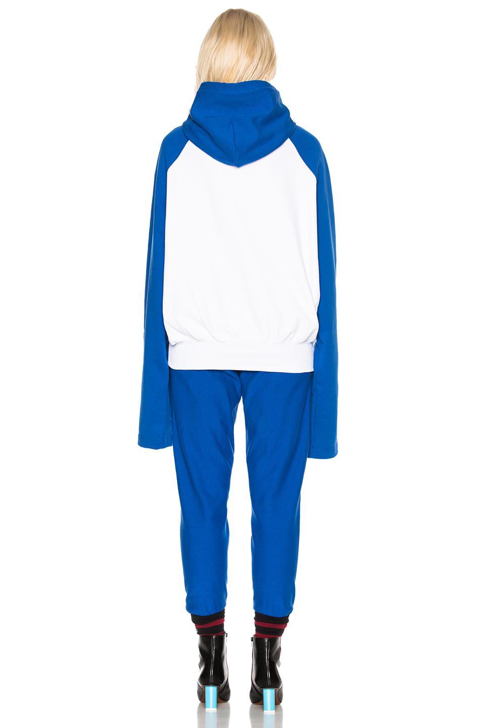 champion hoodie blue and white