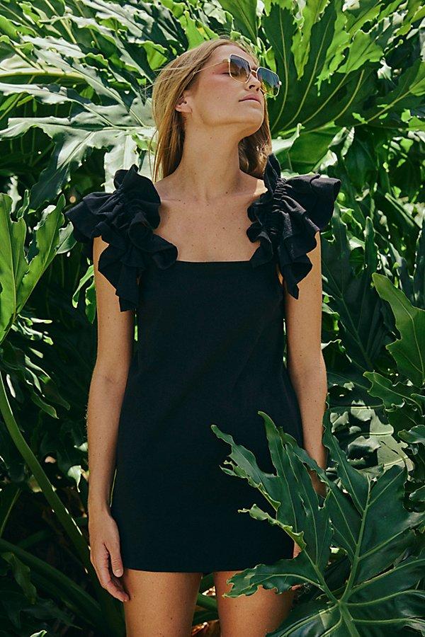 mini alemais dress ALEMAIS-Giulia embroidered mini dress – AJ's Clothing: Lexington