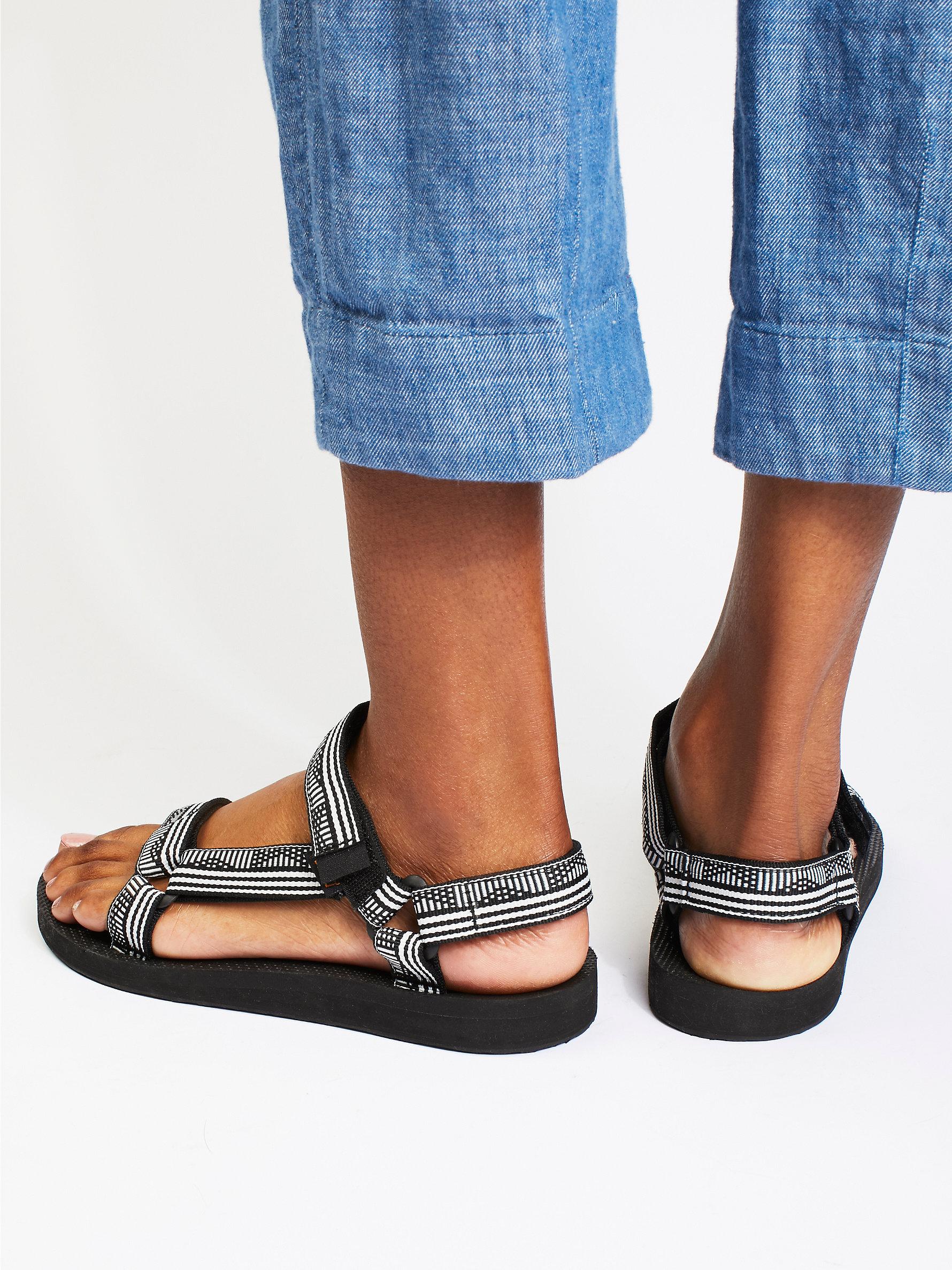 teva campo