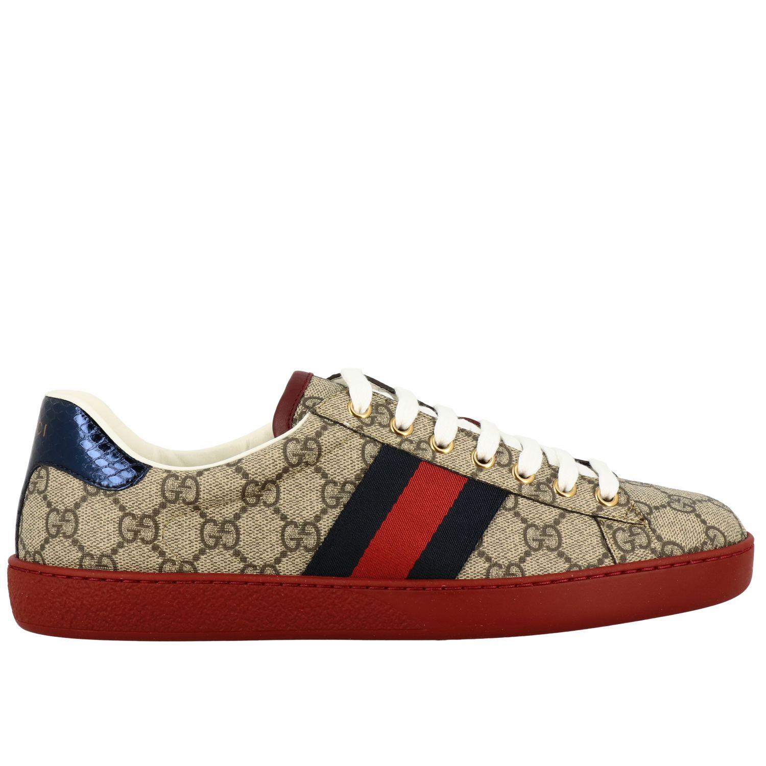 ace gg supreme sneaker price