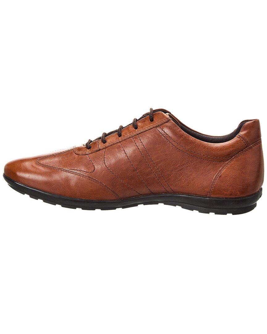 Geox Symbol Leather Sneaker in Brown for Men | Lyst