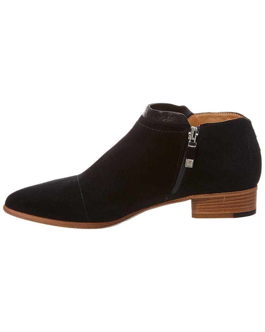 alberto fermani serafina