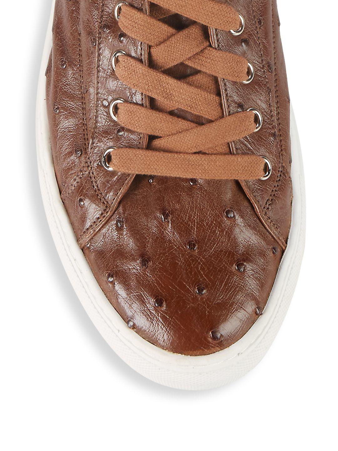 bally heaven sneakers