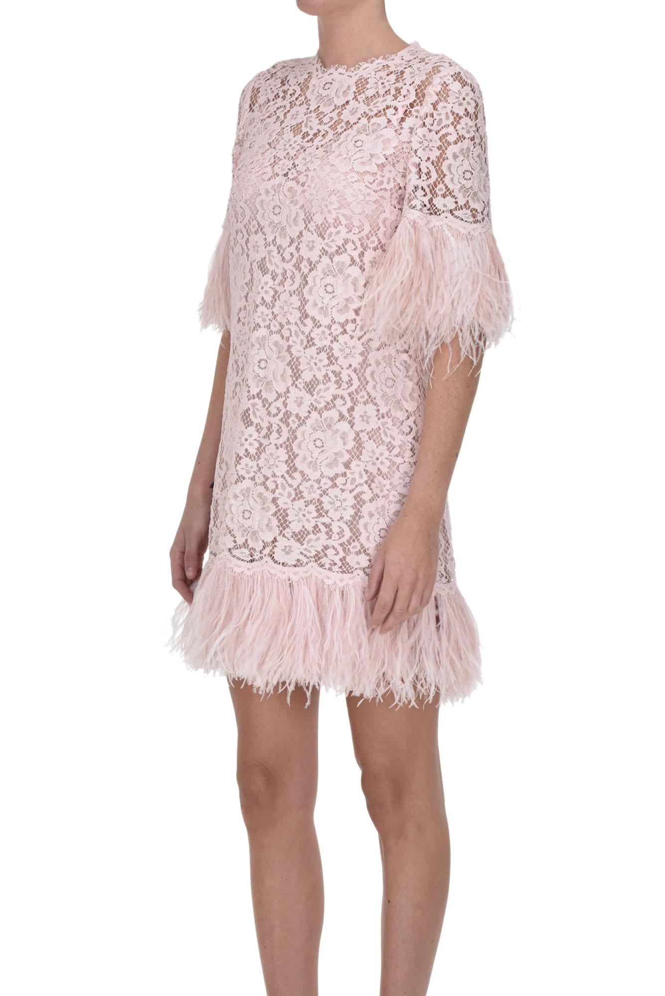 Dolce & Gabbana Feather Trimmed Lace Mini Dress in Pink | Lyst