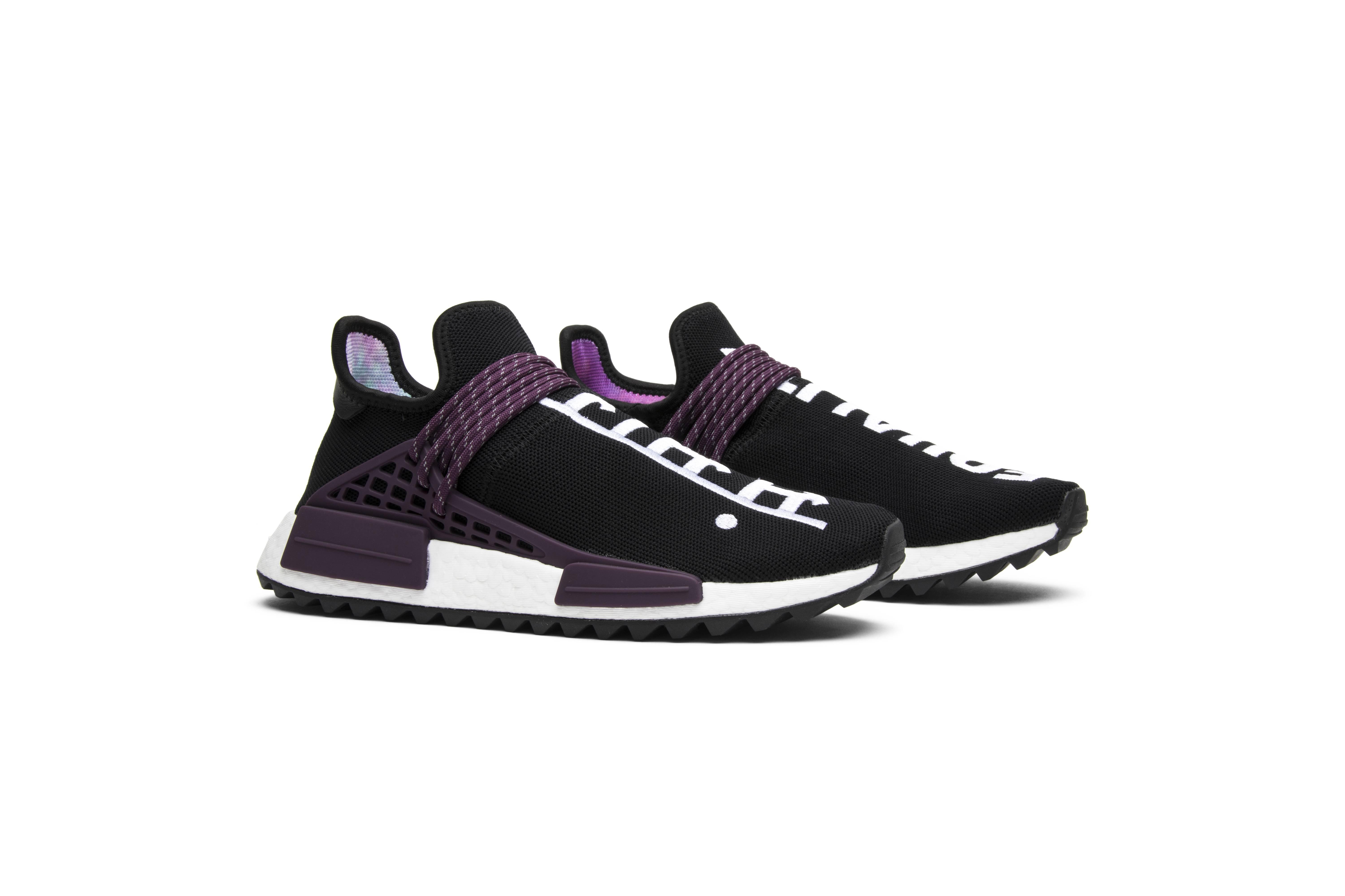 black holi human race