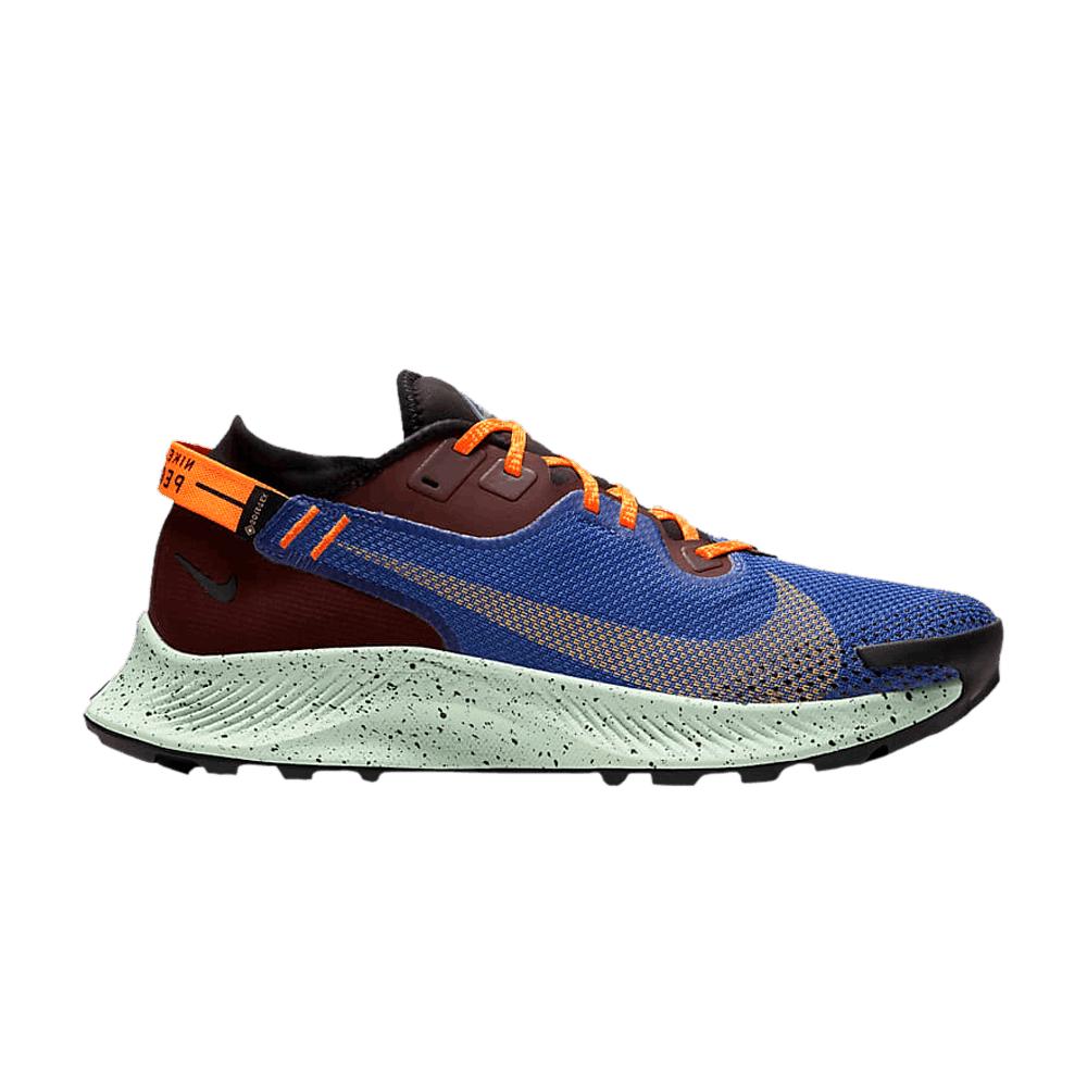 Nike Pegasus Trail 2 Gore-tex in Blue for Men - Lyst