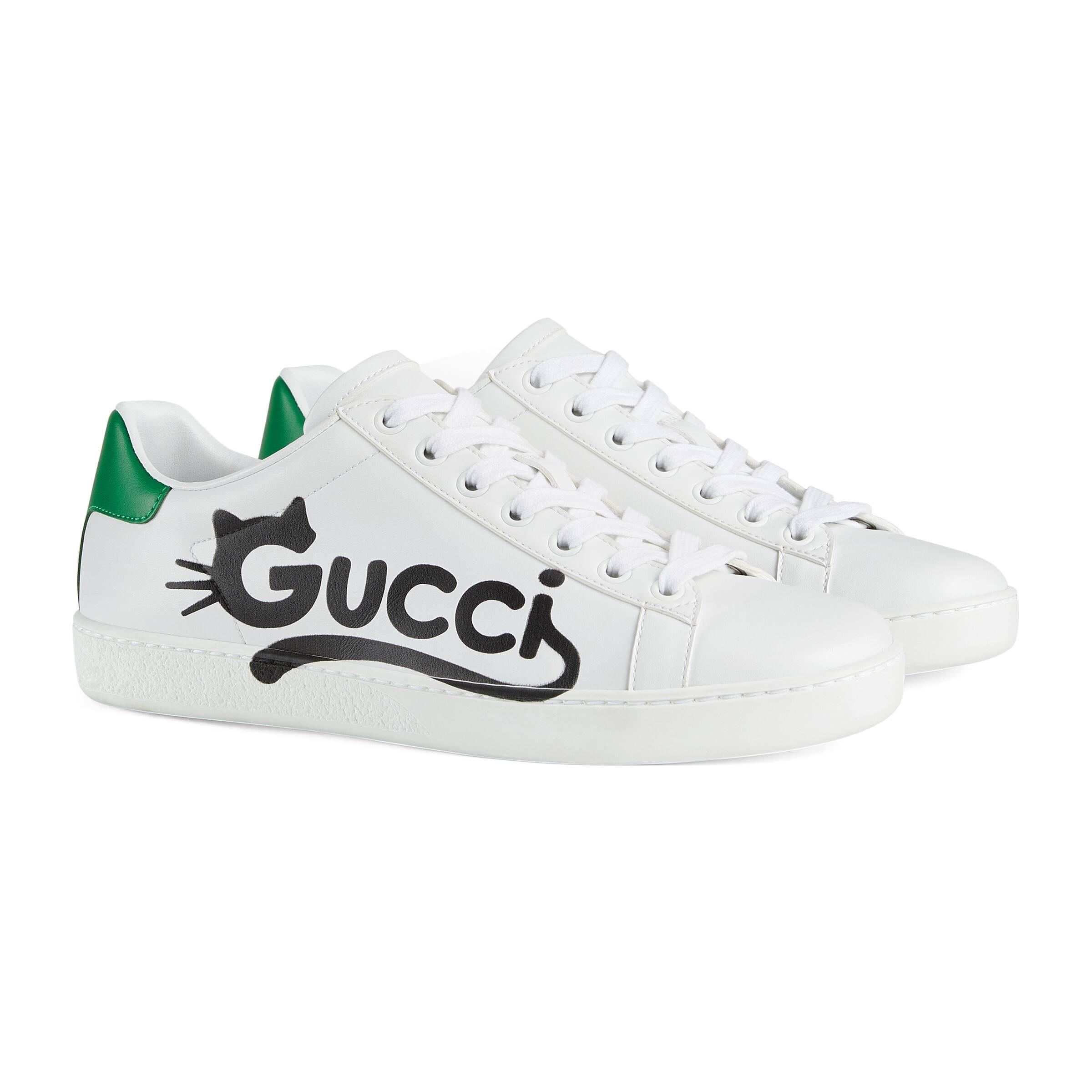 gucci ace kitten