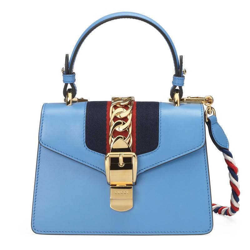 Blue Gucci Purse | Literacy Basics