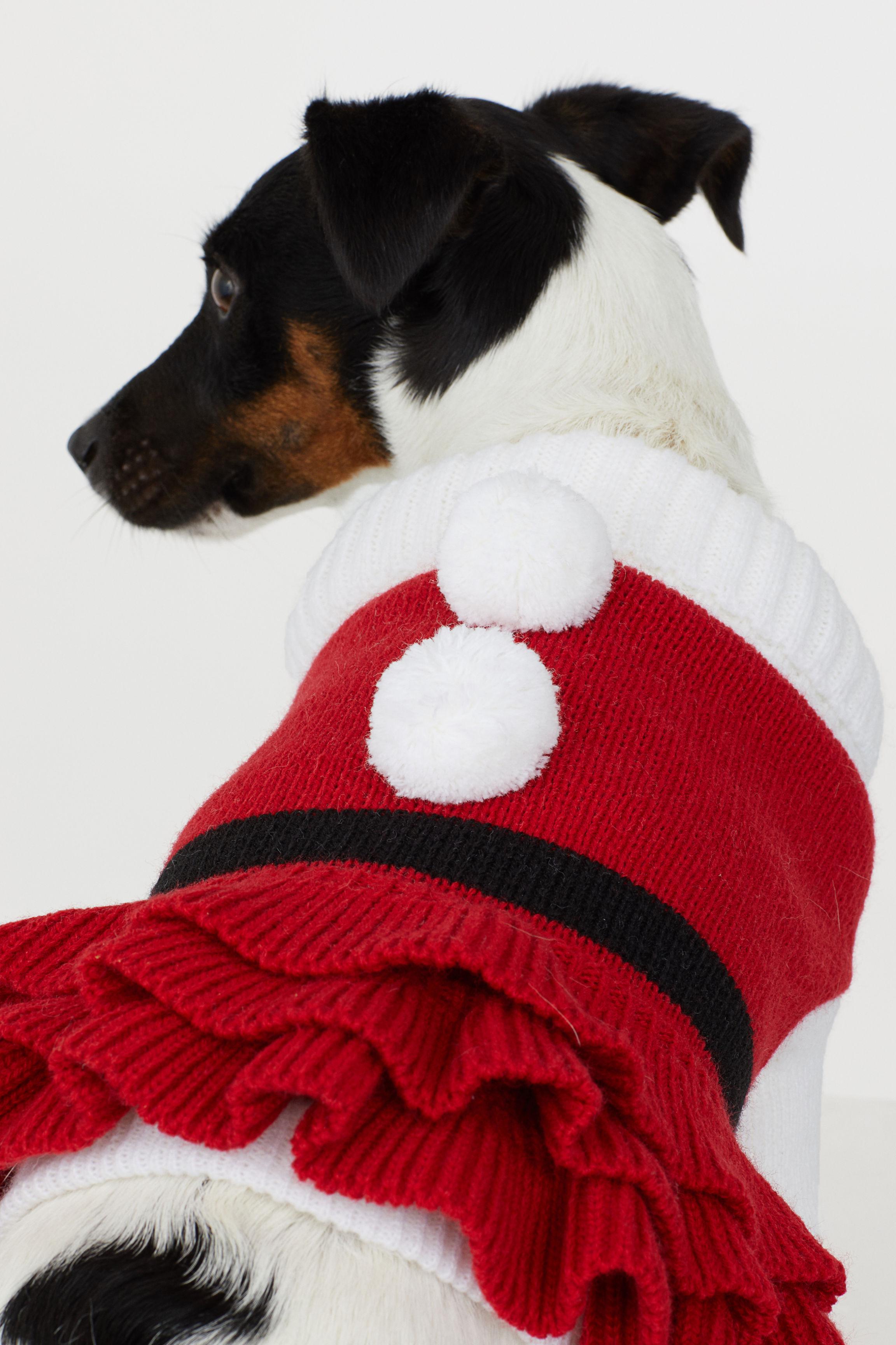 h and m dog clothes > Up to 63% OFF > Free shipping