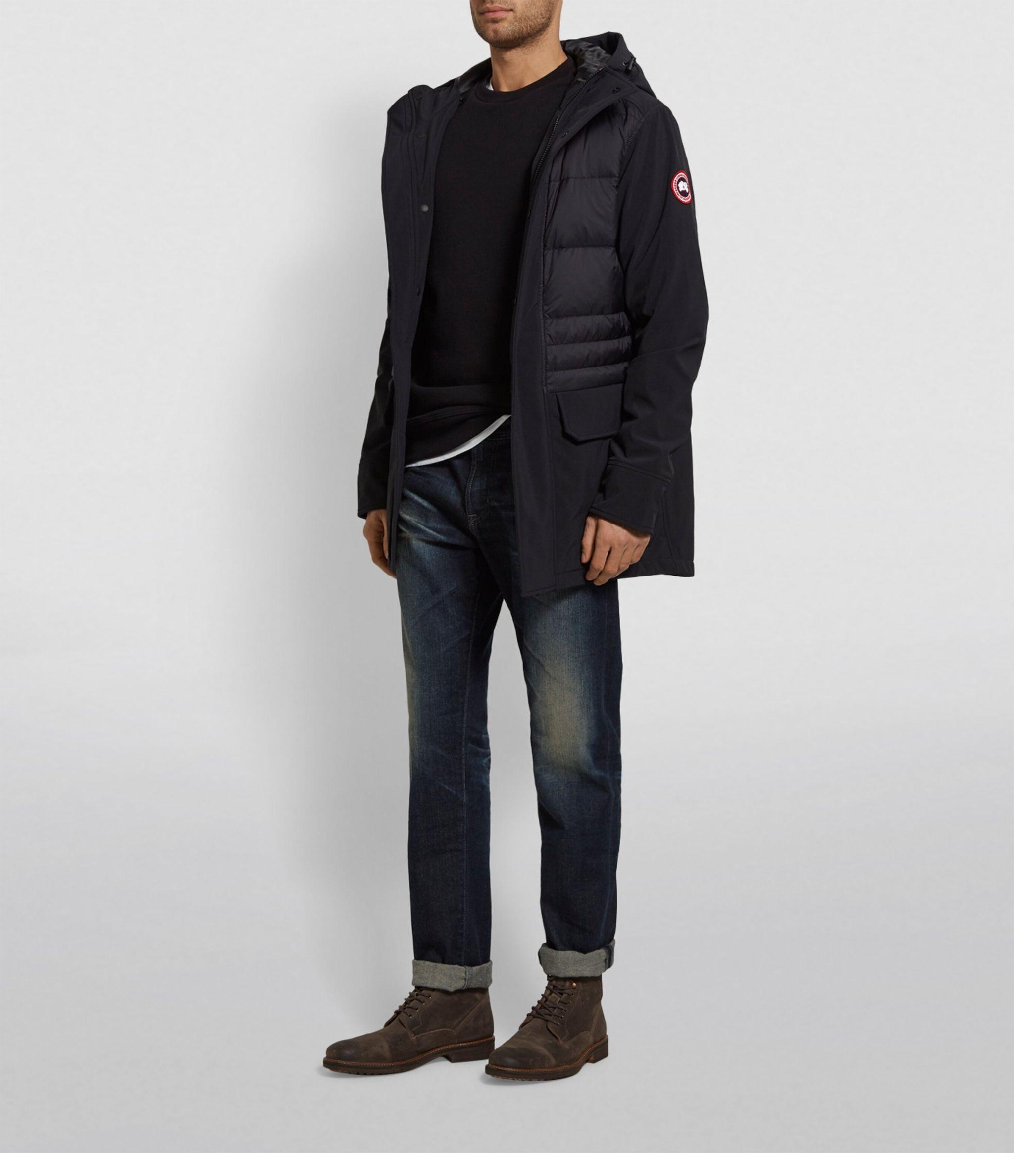 breton coat canada goose